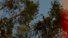 CHRISTIAN FRÖHLICH—DIRECTOR OF PHOTOGRAPHY