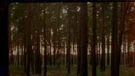 CHRISTIAN FRÖHLICH—DIRECTOR OF PHOTOGRAPHY