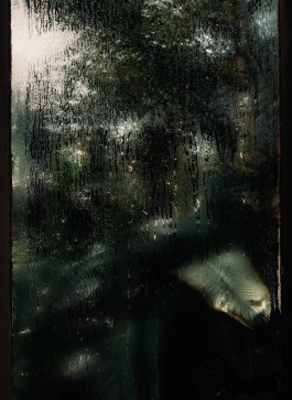 CHRISTIAN FRÖHLICH—DIRECTOR OF PHOTOGRAPHY