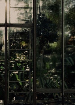 CHRISTIAN FRÖHLICH—DIRECTOR OF PHOTOGRAPHY