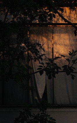 CHRISTIAN FRÖHLICH—DIRECTOR OF PHOTOGRAPHY