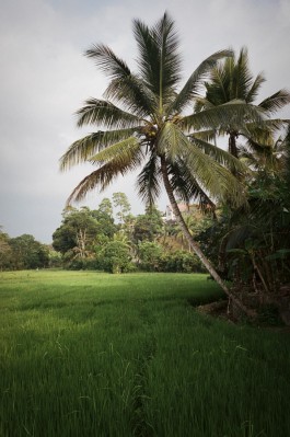 CHRISTIAN FRÖHLICH—DIRECTOR OF PHOTOGRAPHY